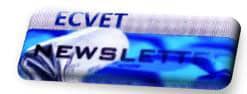 NEWSLETTER3_PIC.jpg